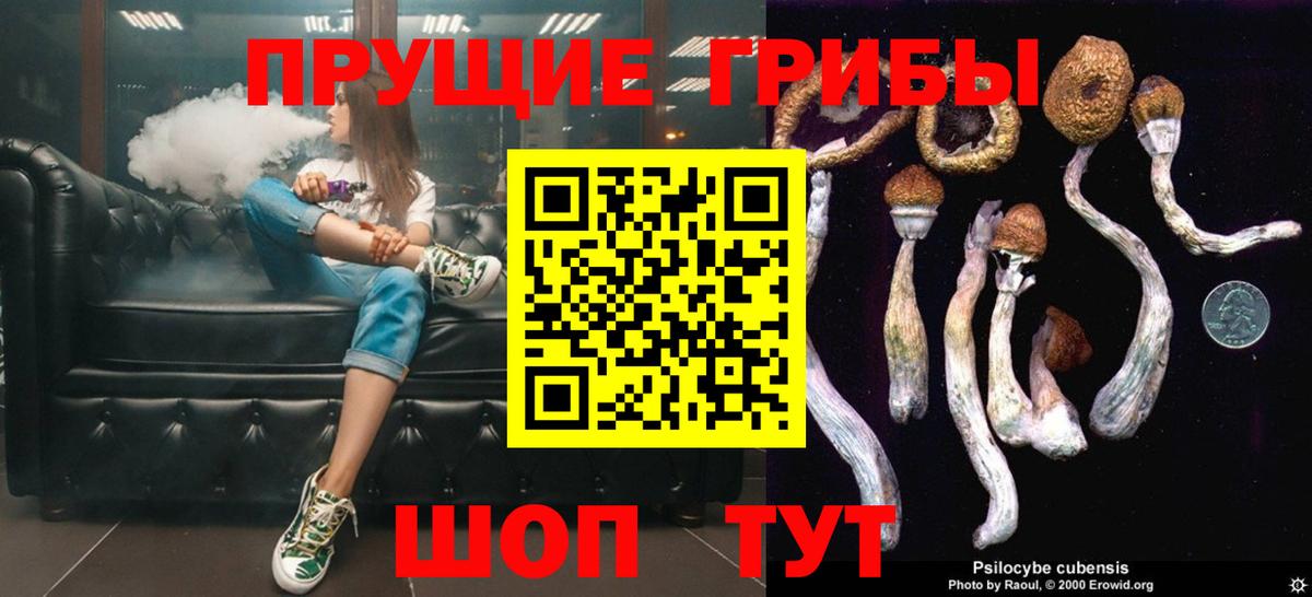 магазин продажи   Вход с VPN  Чапаевск  Псилоцибиновые грибы мицелий 